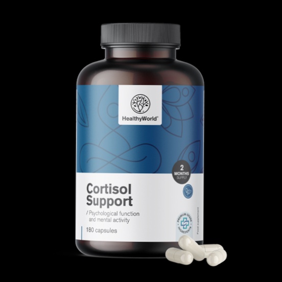 Schéma Cortisol