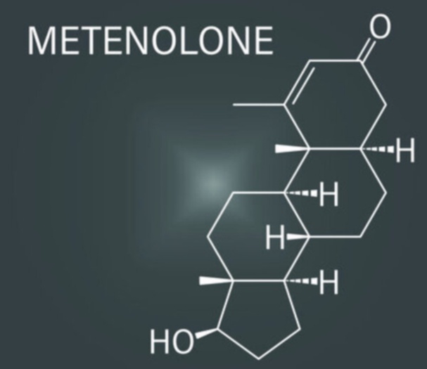 Présentation Methenolone